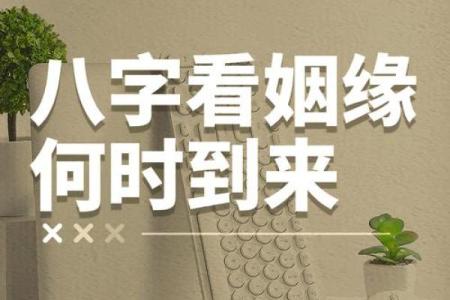 利用名字算姻缘配对 用名字算姻缘准不准？