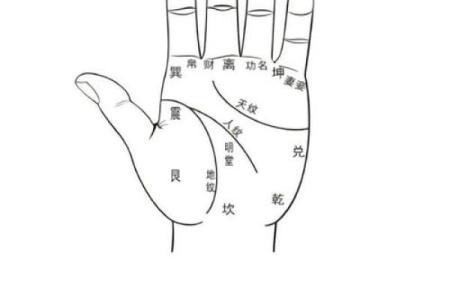 《手相学习百科》：手相重要辅线