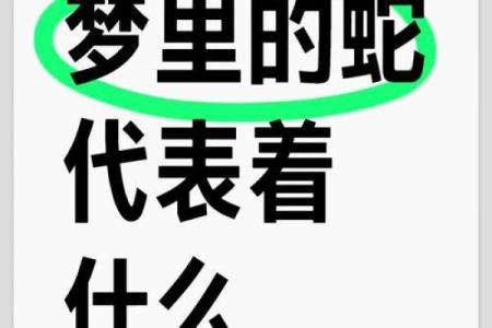 风水梦见被蛇咬是什么意思好不好