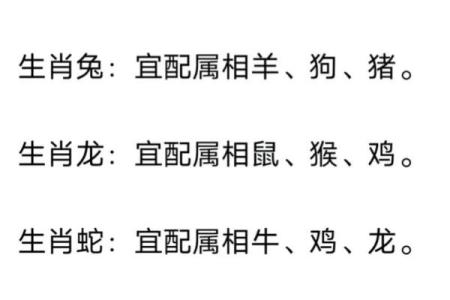 鼠属十二生肖之首黄金配对无人敌