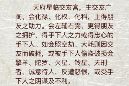 紫薇斗数天府男