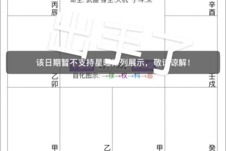 了无居士紫薇斗数