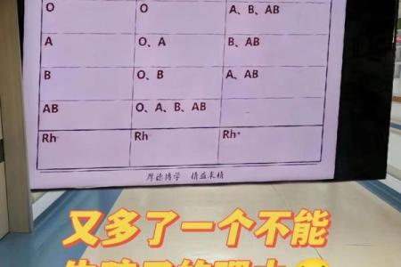 血型会影响怀孕吗- O型血的女性不易受孕