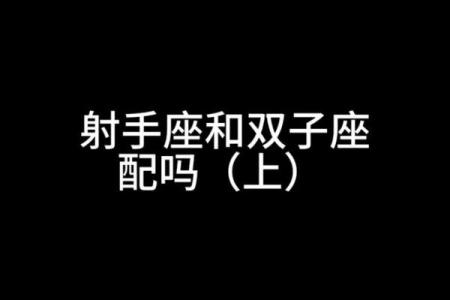 双子座和射手配对吗