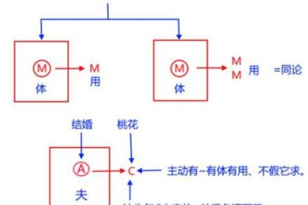 紫薇斗数的四化是什么原理