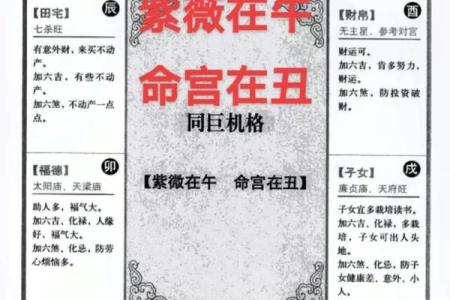 紫薇斗数准