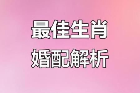 配对幸福一生的生肖