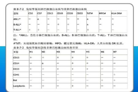 白血病八字