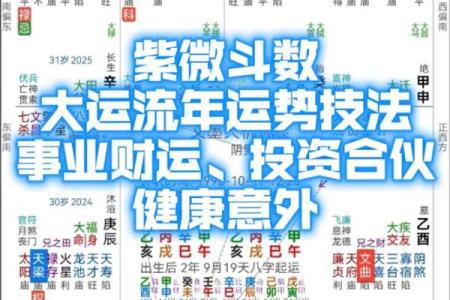 紫薇斗数怎么起流年