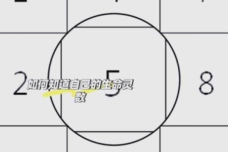 生命灵数3跟什么配对