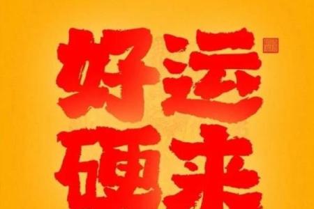 兔鼠今年结婚吉日 属兔鼠年结婚好不好？