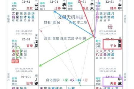 紫微斗数继父 紫微斗数看父母再婚？