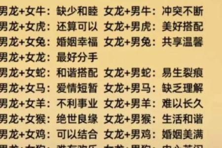 属龙的生肖配对