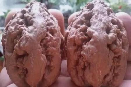 八字真硬！老太家中“核桃锤”竟是沉睡手榴弹，二十余年安然无恙