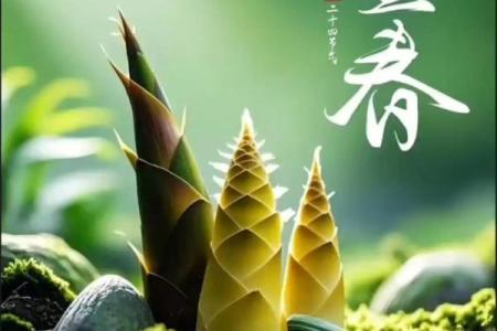 立春 风水
