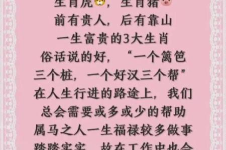 63年属什么生肖配对