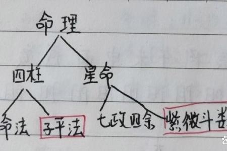 八字理论方法PDF下载，详解八字命理，求职择业必备！