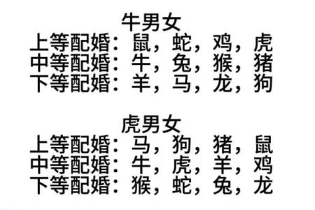 在一起最旺对方的六大生肖配对