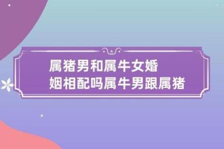 属猪男和什么属相配吗，属猪男和什么属相配对？