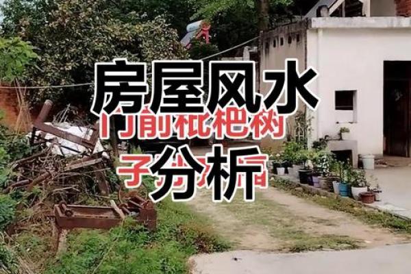 风水疑问火烧房子是要发大财吗
