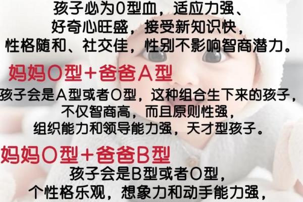 智商排行榜的4大血型有哪些呢