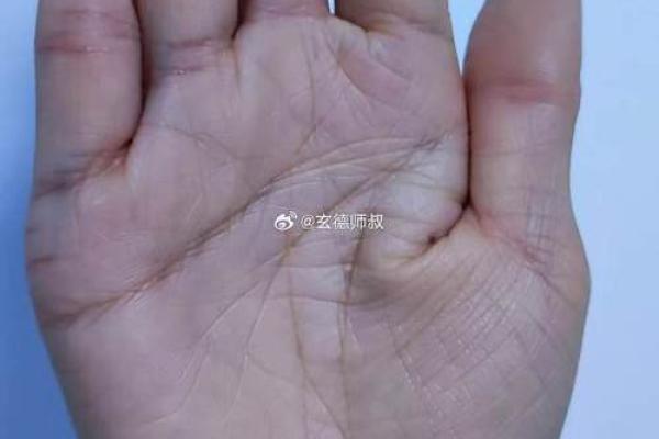 算命说的儿女刑伤说的什么意思呀图片