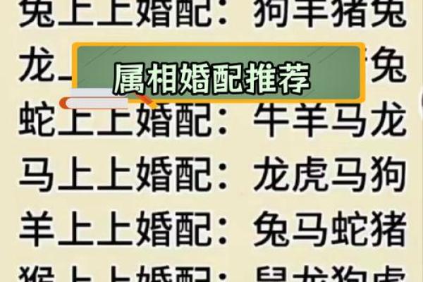最全的十二属相配对
