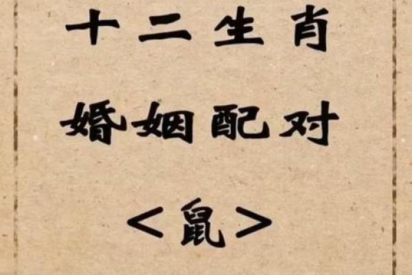 72年属什么生肖配对