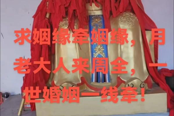 月老姻缘百度云盘下载资源 月老姻缘树是什么树？