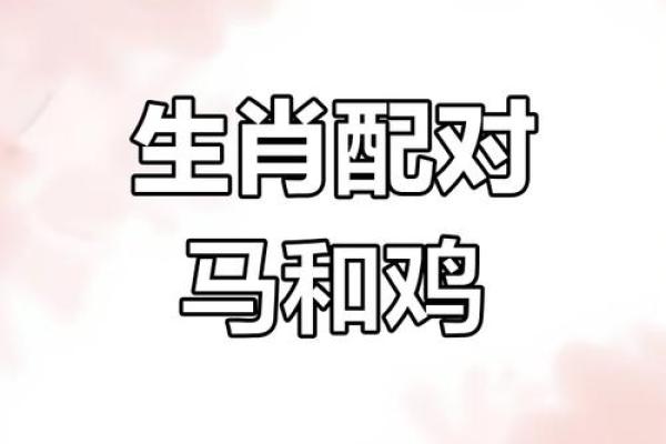 鸡马生肖配对指数 鸡和马属相婚配指数