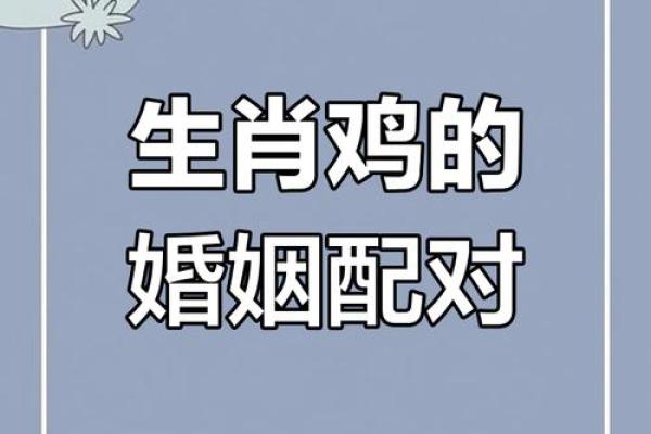 鸡马生肖配对指数 鸡和马属相婚配指数