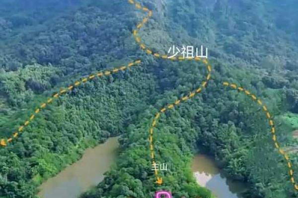 命理分析为何双胞胎八字相同命不同