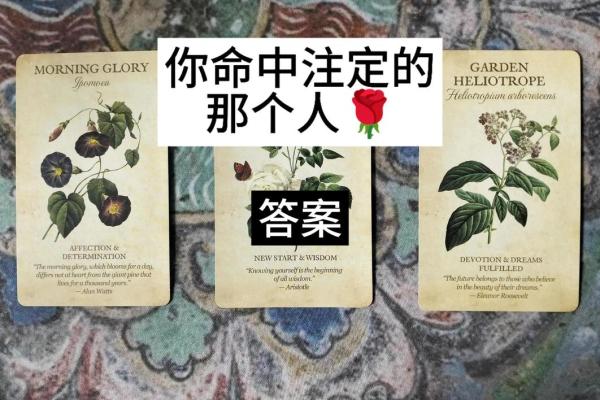 塔罗测试-他是对的人吗？