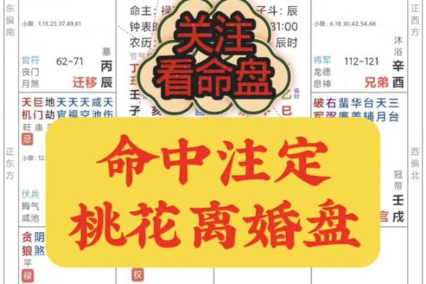 紫薇斗数测桃花