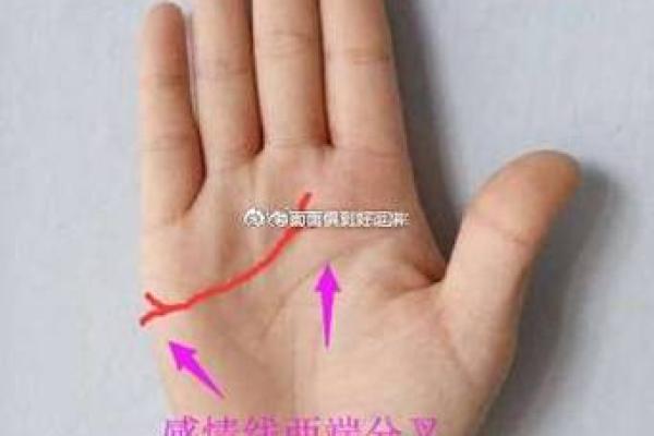 男士手相算命图解法 男人感情线的末端分叉异性缘好