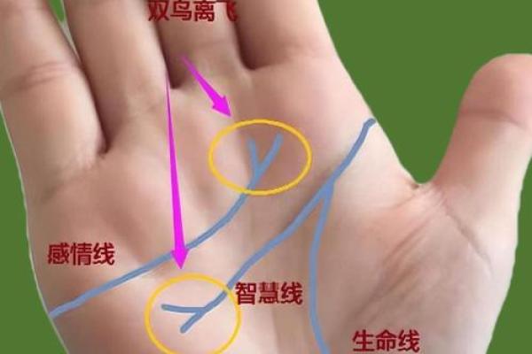 男士手相算命图解法 男人感情线的末端分叉异性缘好