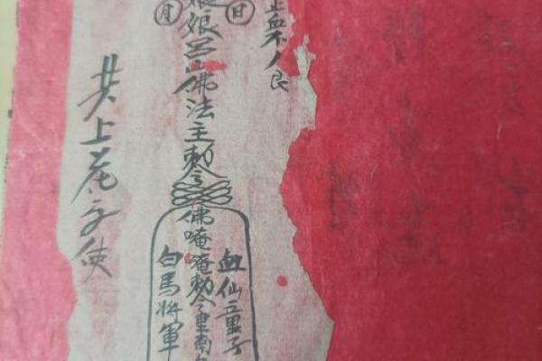 算命不求人农历算命法女