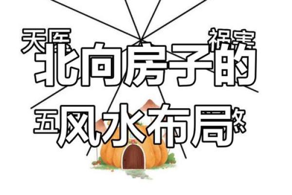 朝北的房子怎么画风水