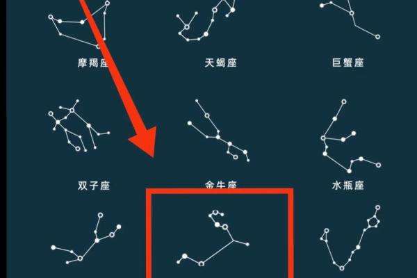 天蝎女和狮子男座配对指数 天蝎女和狮子男座配对指数多少