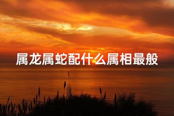 属龙女跟什么属相最配对