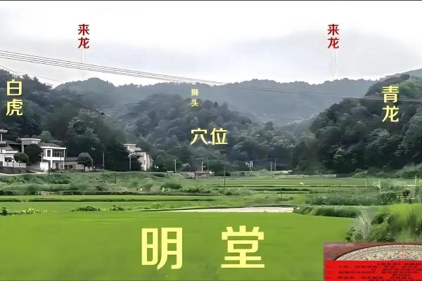 坟地风水后辈出贵人的祖坟风水