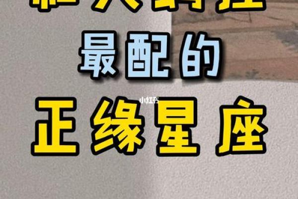 天秤座男和天蝎座女配对好吗