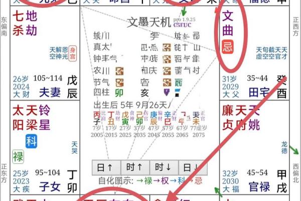 紫薇斗数免费入门