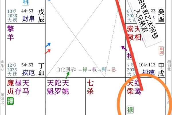 紫微斗数之田宅宫与诸星，太阳星在田宅宫是什么意思？