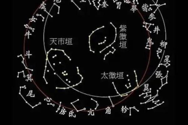 紫薇斗数全部星宿