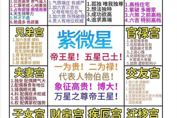 紫薇斗数排盘群