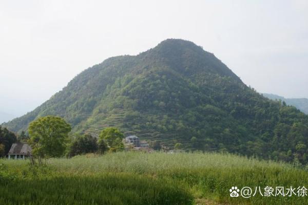 房子南侧有高山风水好吗