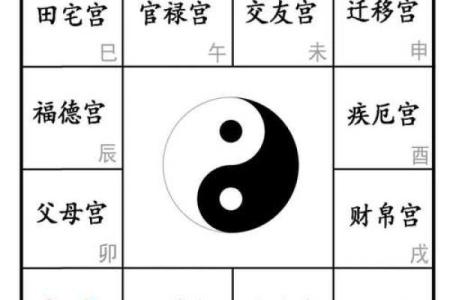 紫薇斗数卯宫对应