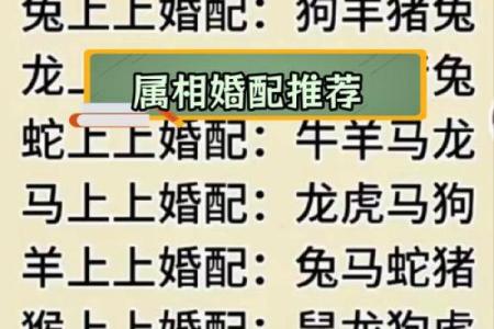 最全的十二属相配对