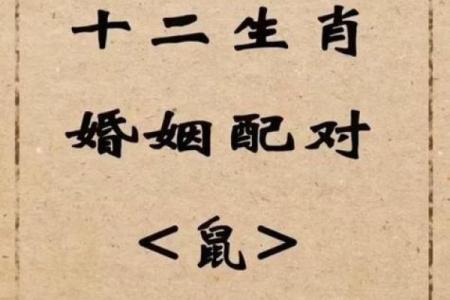 72年属什么生肖配对